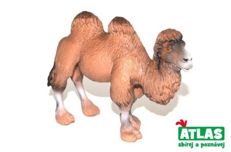 Atlas Figurka Velbloud 11 cm