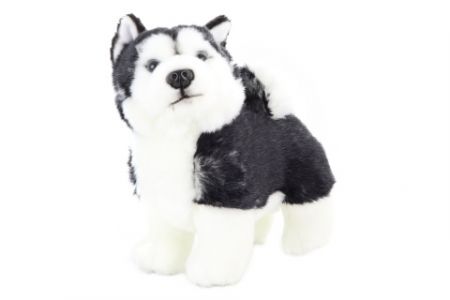 Plyš Husky 21 cm - ECO-FRIENDLY DS76549710