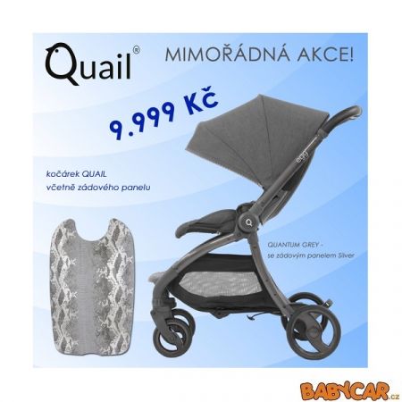 BABYSTYLE sportovní kočárek EGG QUAIL + zadní kryt Quantum Grey/Silver