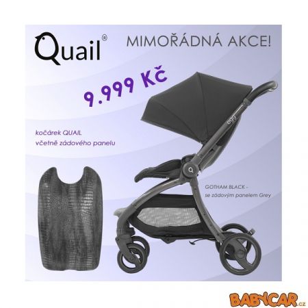 BABYSTYLE sportovní kočárek EGG QUAIL + zadní kryt Gotham Black/Grey