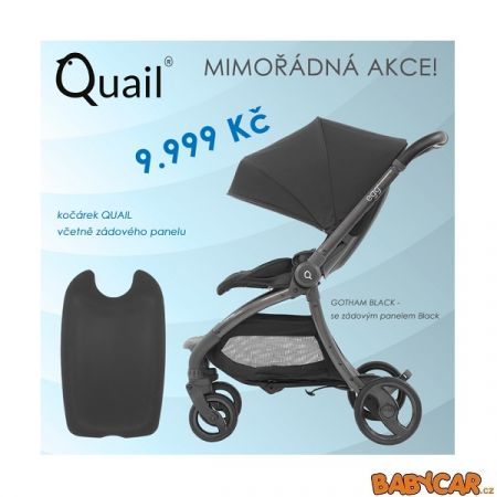 BABYSTYLE sportovní kočárek EGG QUAIL + zadní kryt Gotham Black/Black