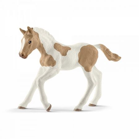 Zvířátko - Hříbě plemene Paint Horse DS26414067