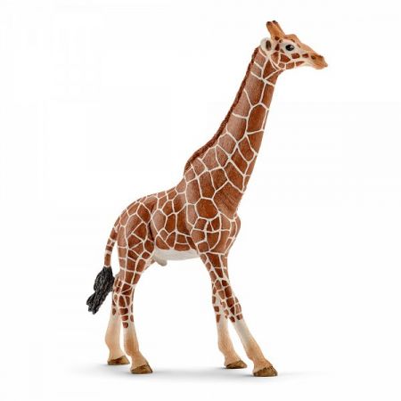 Zvířátko - samec žirafy DS39391500