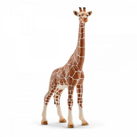 Zvířátko - samice žirafy DS74046573