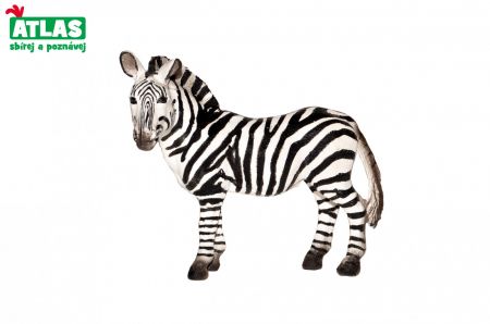 Atlas Figurka Zebra 10 cm