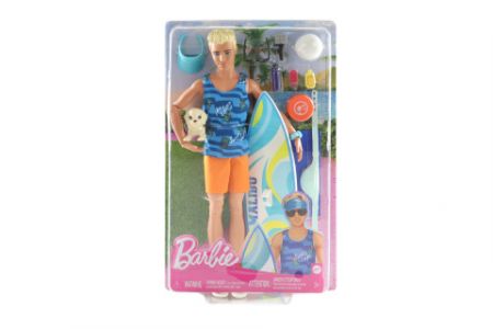 Barbie Ken surfista s doplňky HPT50 DS57365246