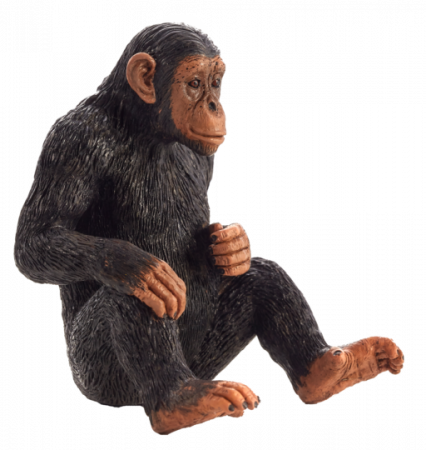 Animal Planet | Mojo Šimpanz DS12736048