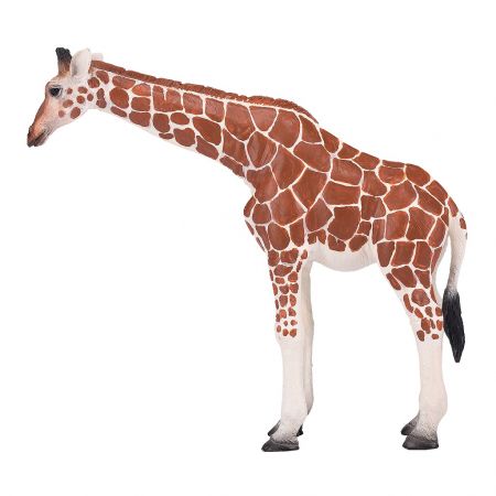 Mojo Žirafí samice DS68353366