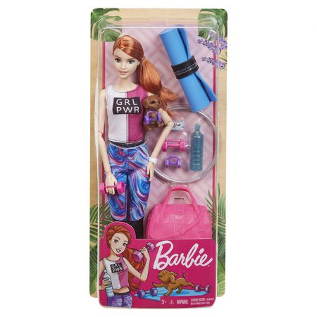 MATTEL - Barbie Wellness Panenka, Mix Produktů