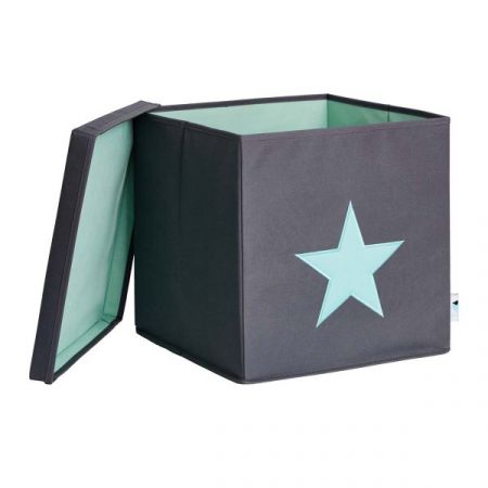 LOVE IT STORE IT - Box na hračky s krytem - šedý, zelená hvězda