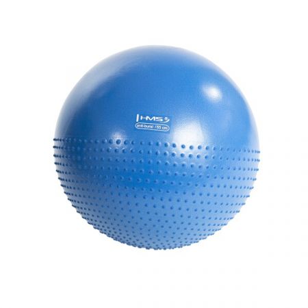 HMS - Masážní gymnastický míč YB03 55 cm, modrý