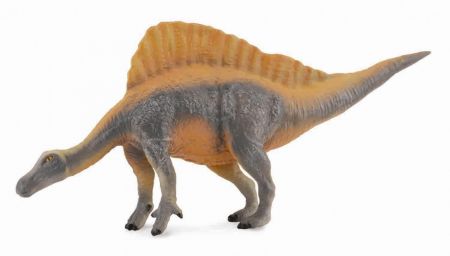 Collecte - Ouranosaurus