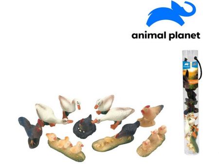 MADE - Zvířátka v tubě - farma, 5 - 8 cm, mobilní aplikace pro zobrazení zvířátek, 10 ks